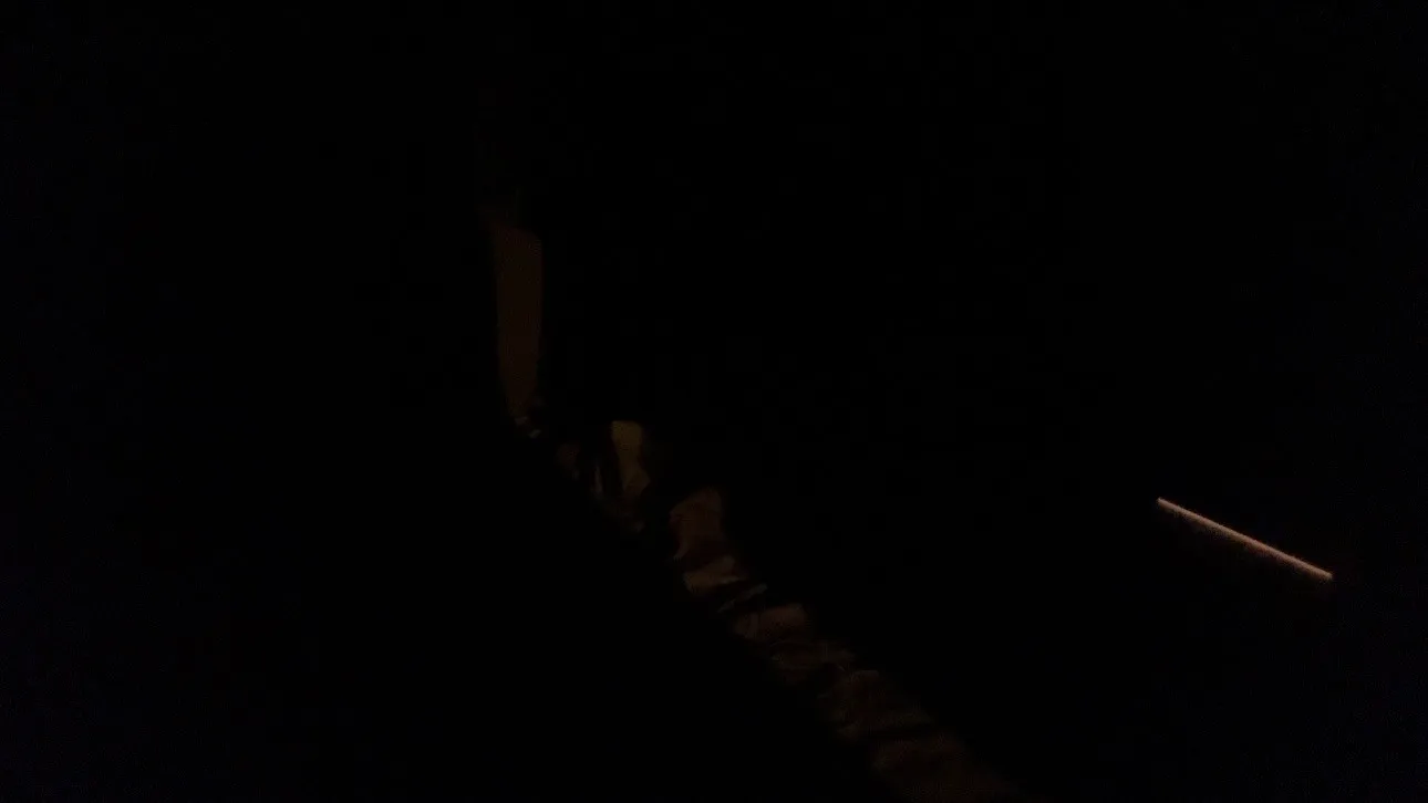 Sleeping Dreams