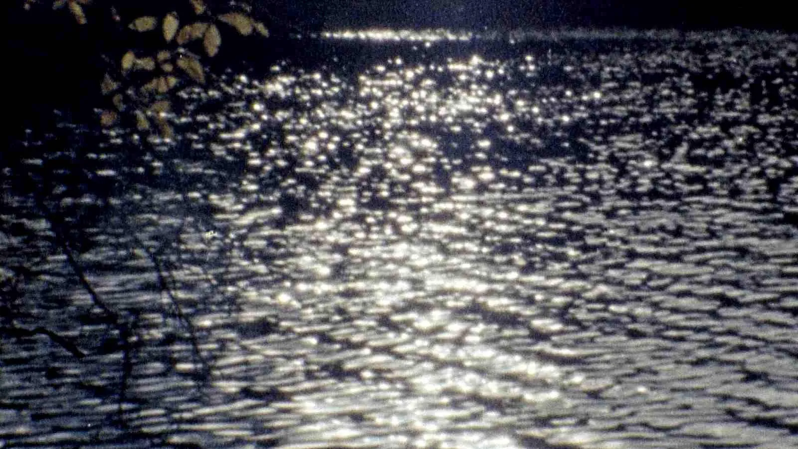 El jardín del lago