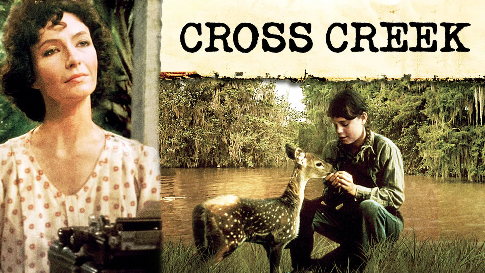 Cross Creek