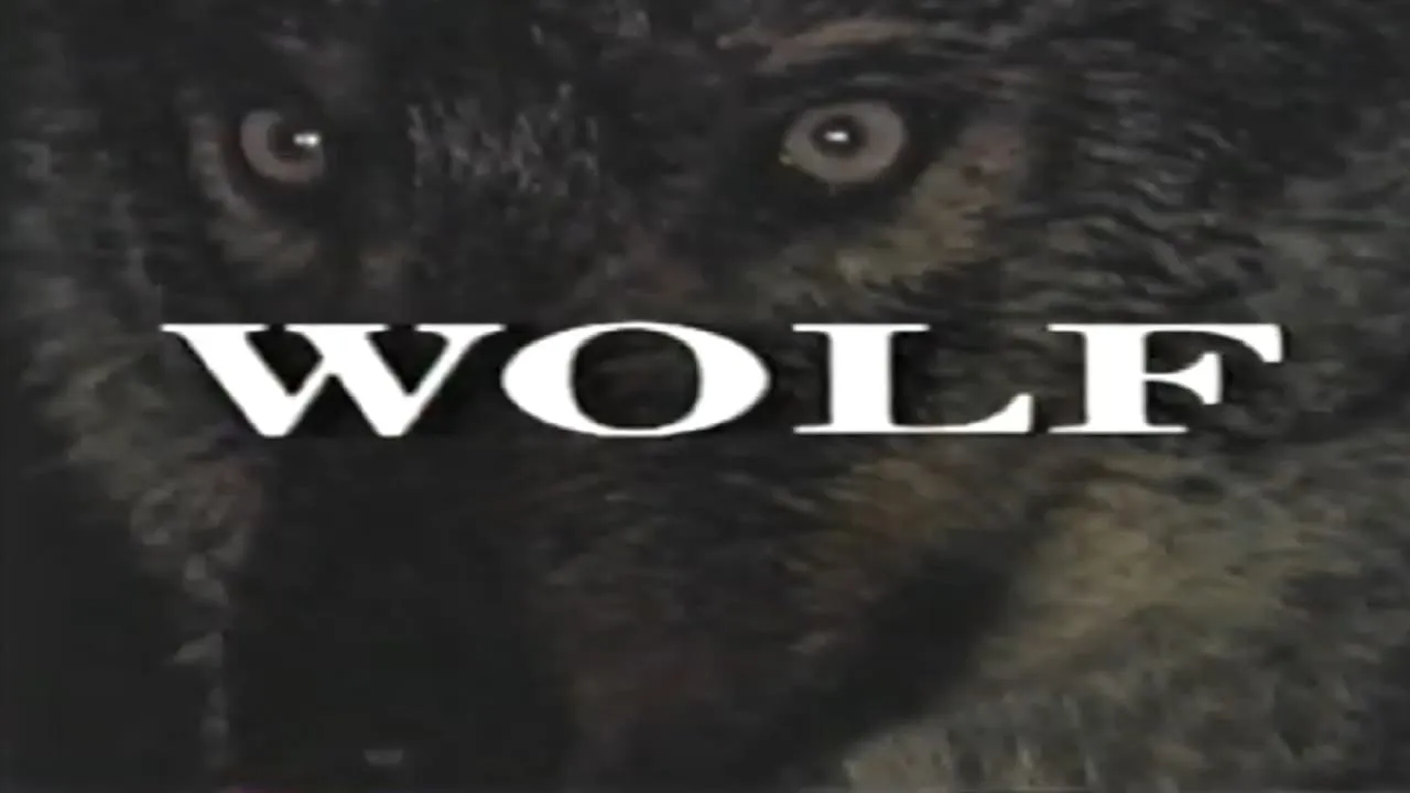 Predators of the Wild: Wolf