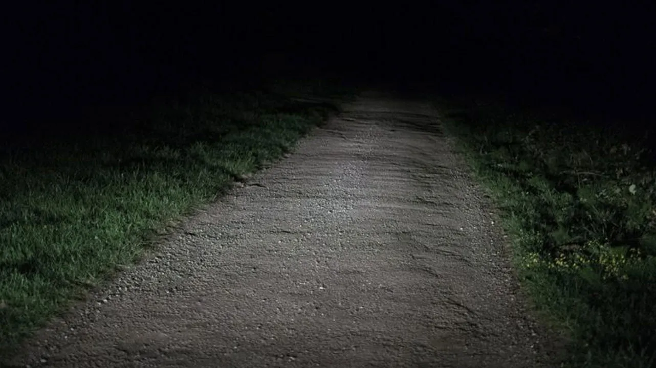 Night Land