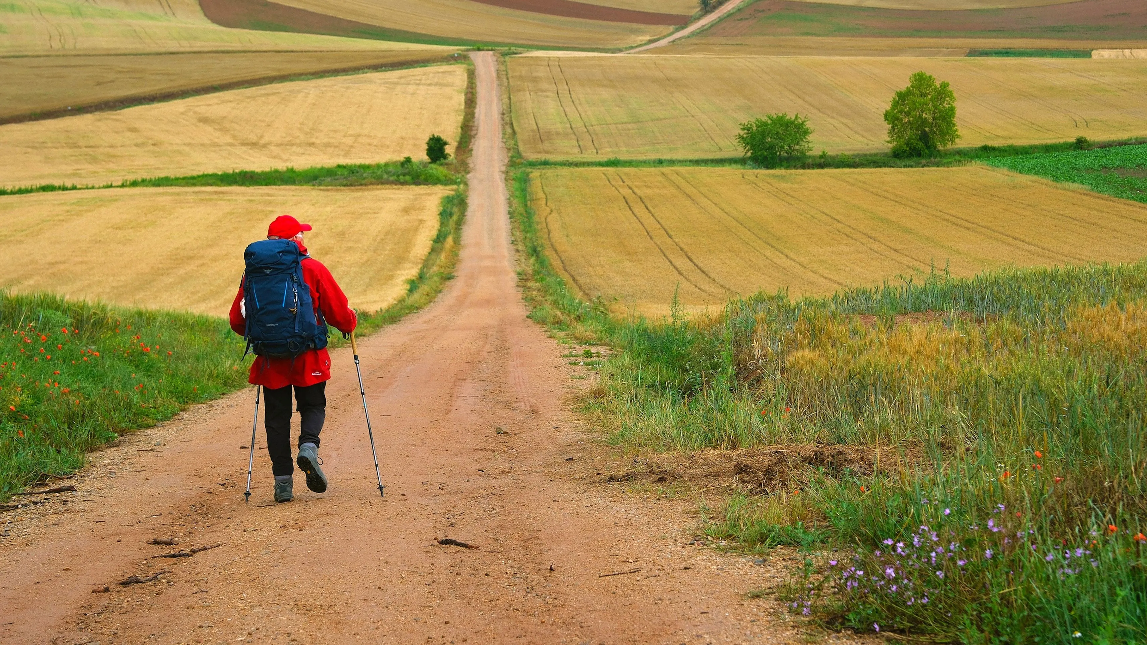 The Way, My Way