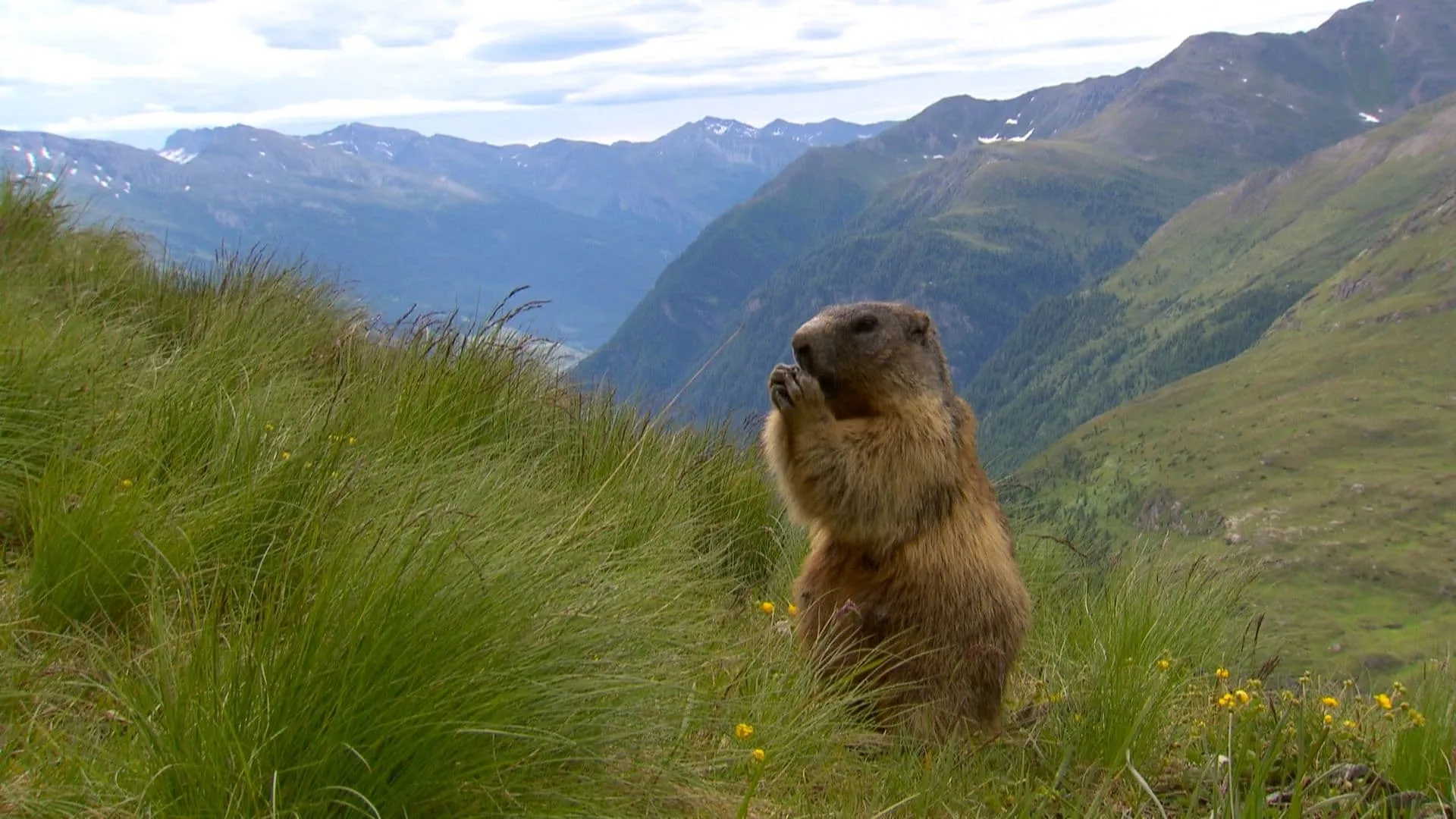 Naturparadiese mit Zukunft