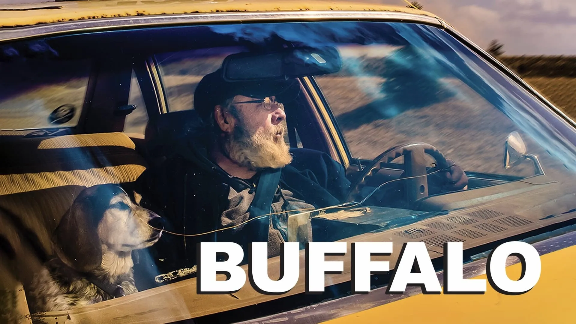 Buffalo