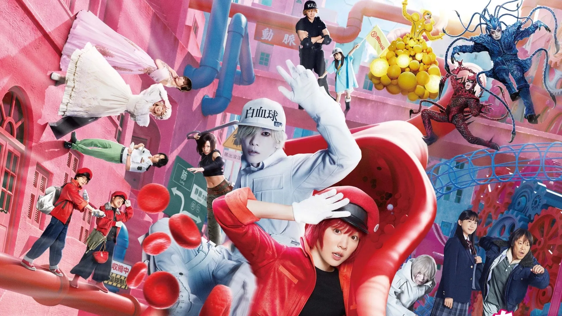 Cells at Work!