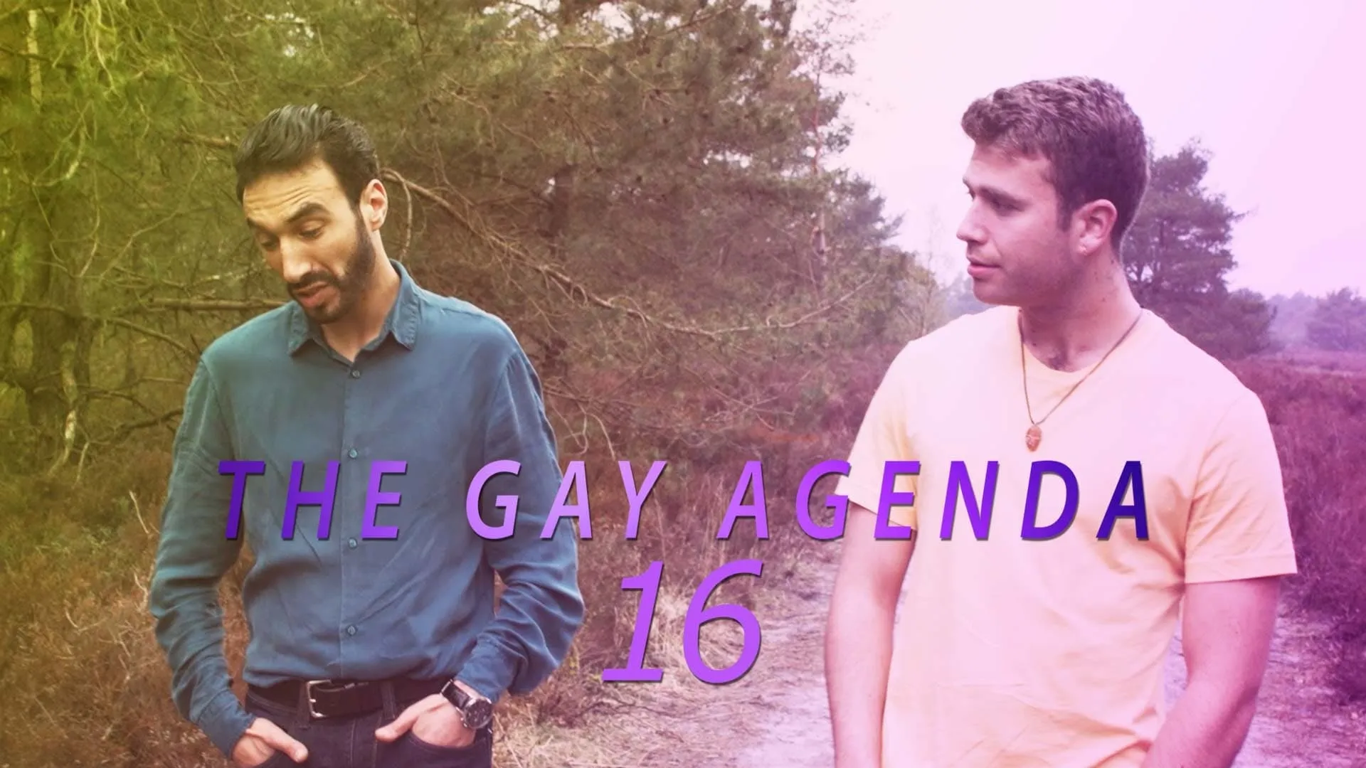 The Gay Agenda 16