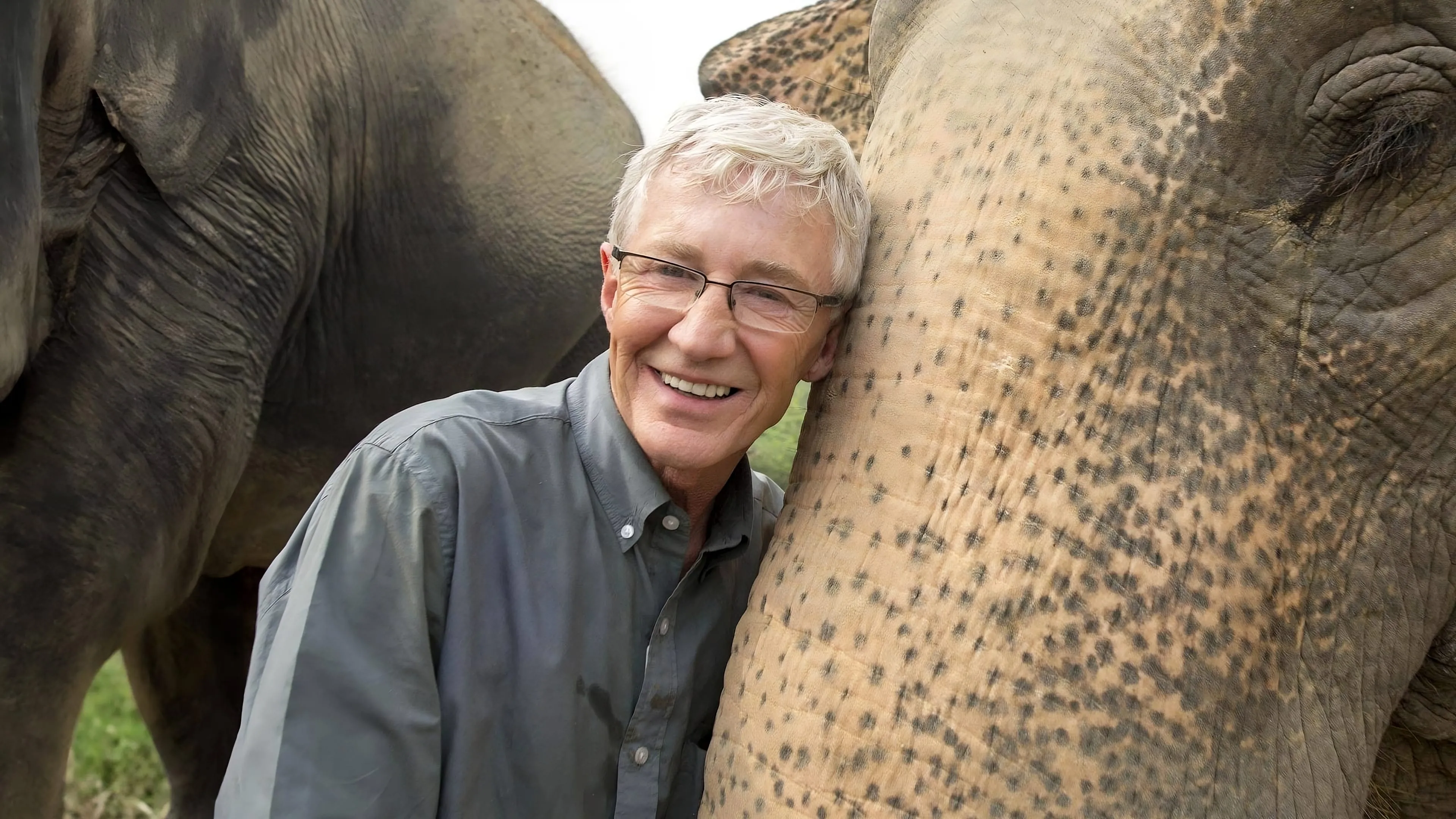 Paul O'Grady's Great Elephant Adventure