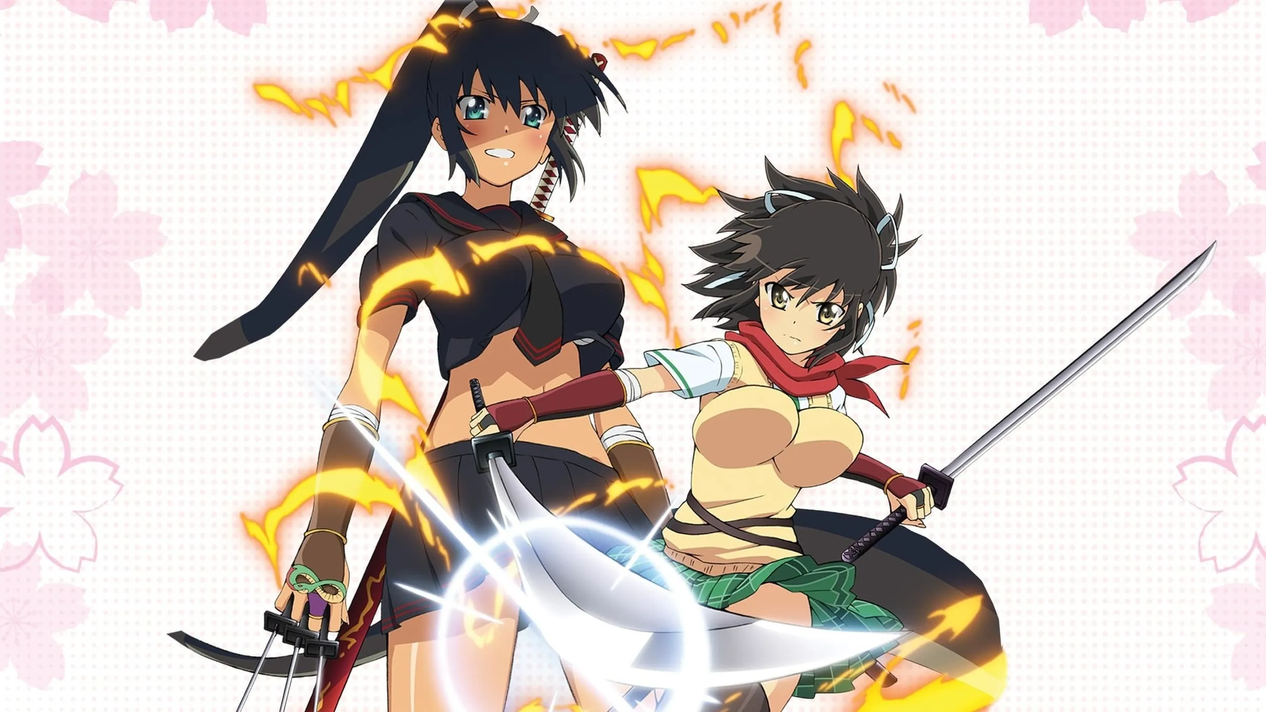 Senran Kagura: Ninja Flash