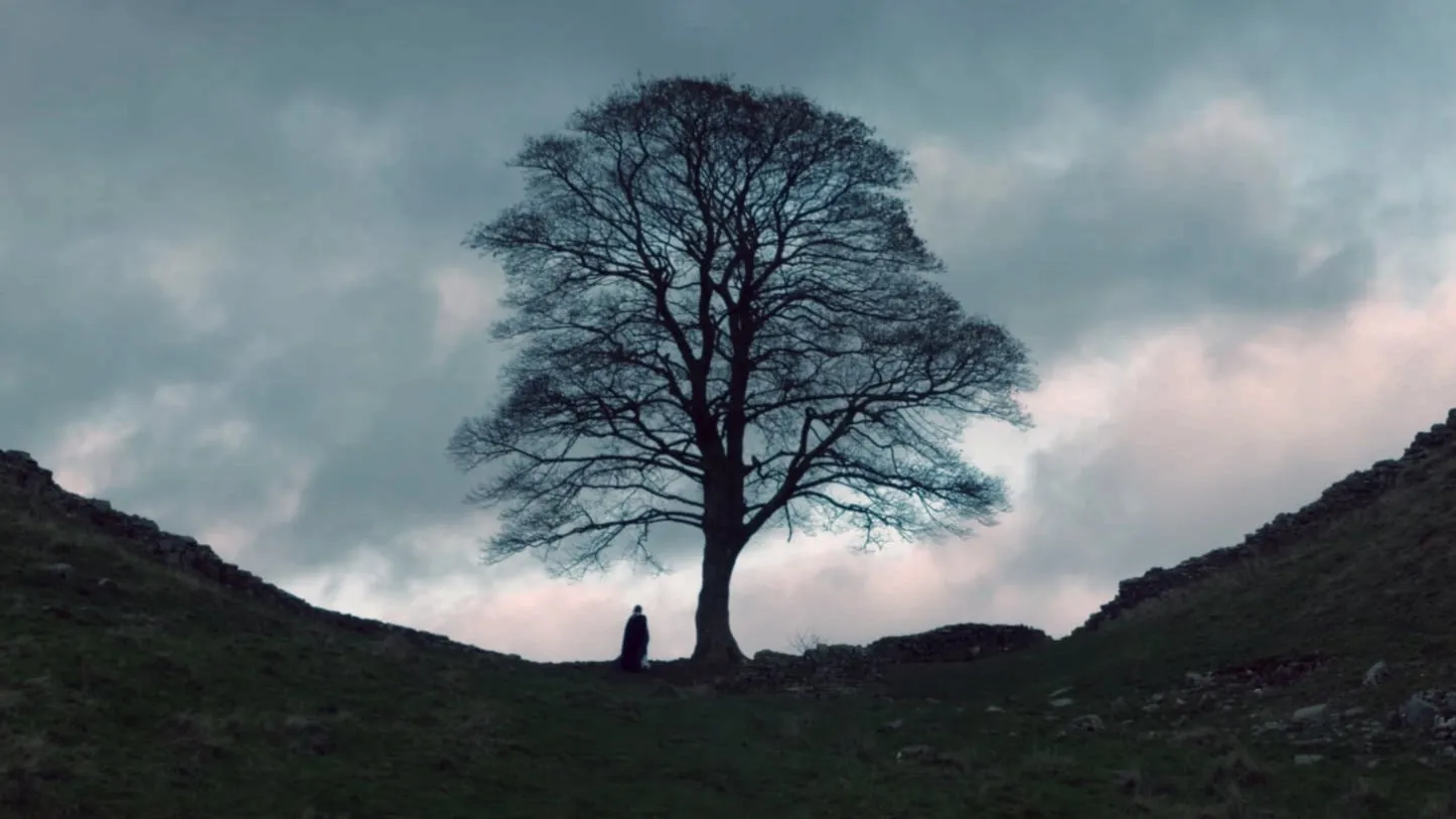 The Sycamore Gap