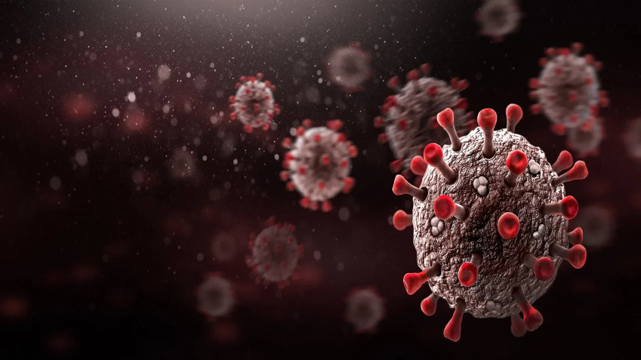 Covid-19 Outbreak: Minute by Minute