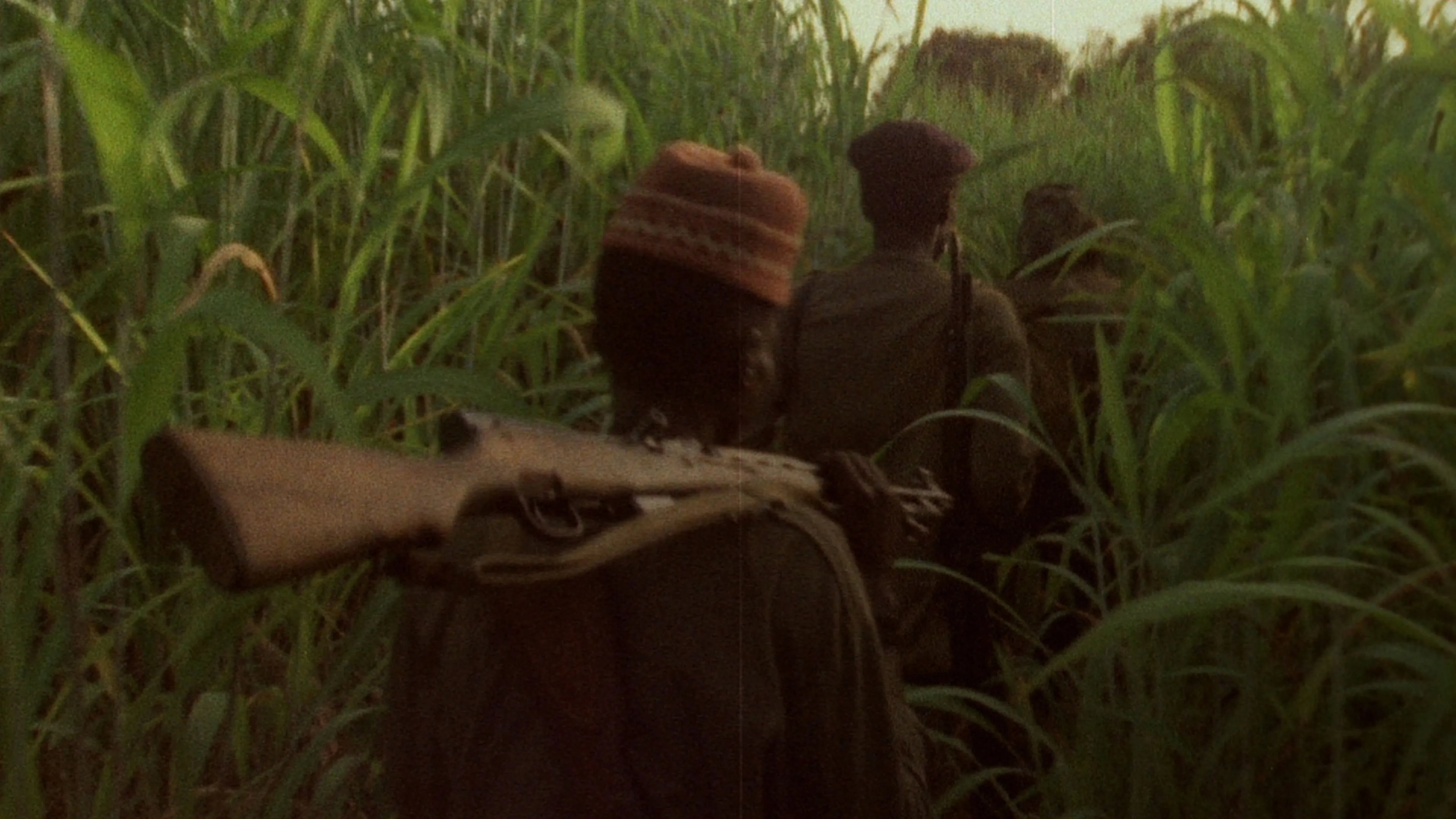 Concerning Violence