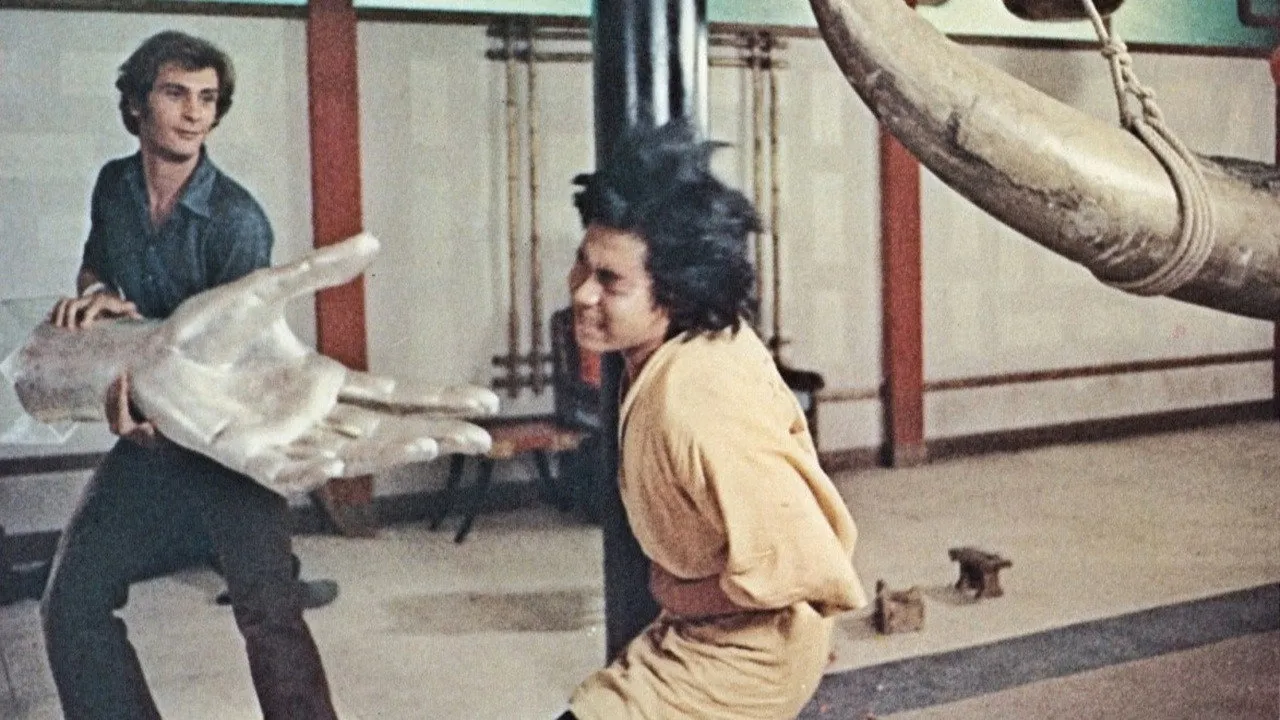 Mr. Hercules Against Karate