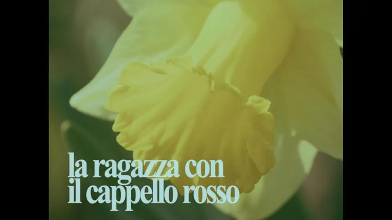 La Ragazza Con Il Cappello Rosso