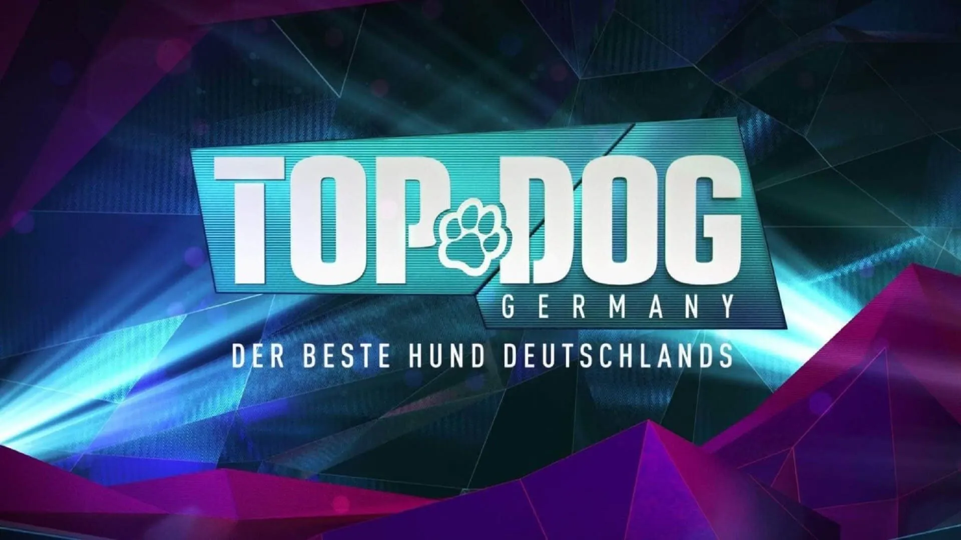 Top Dog Germany – Der beste Hund Deutschlands