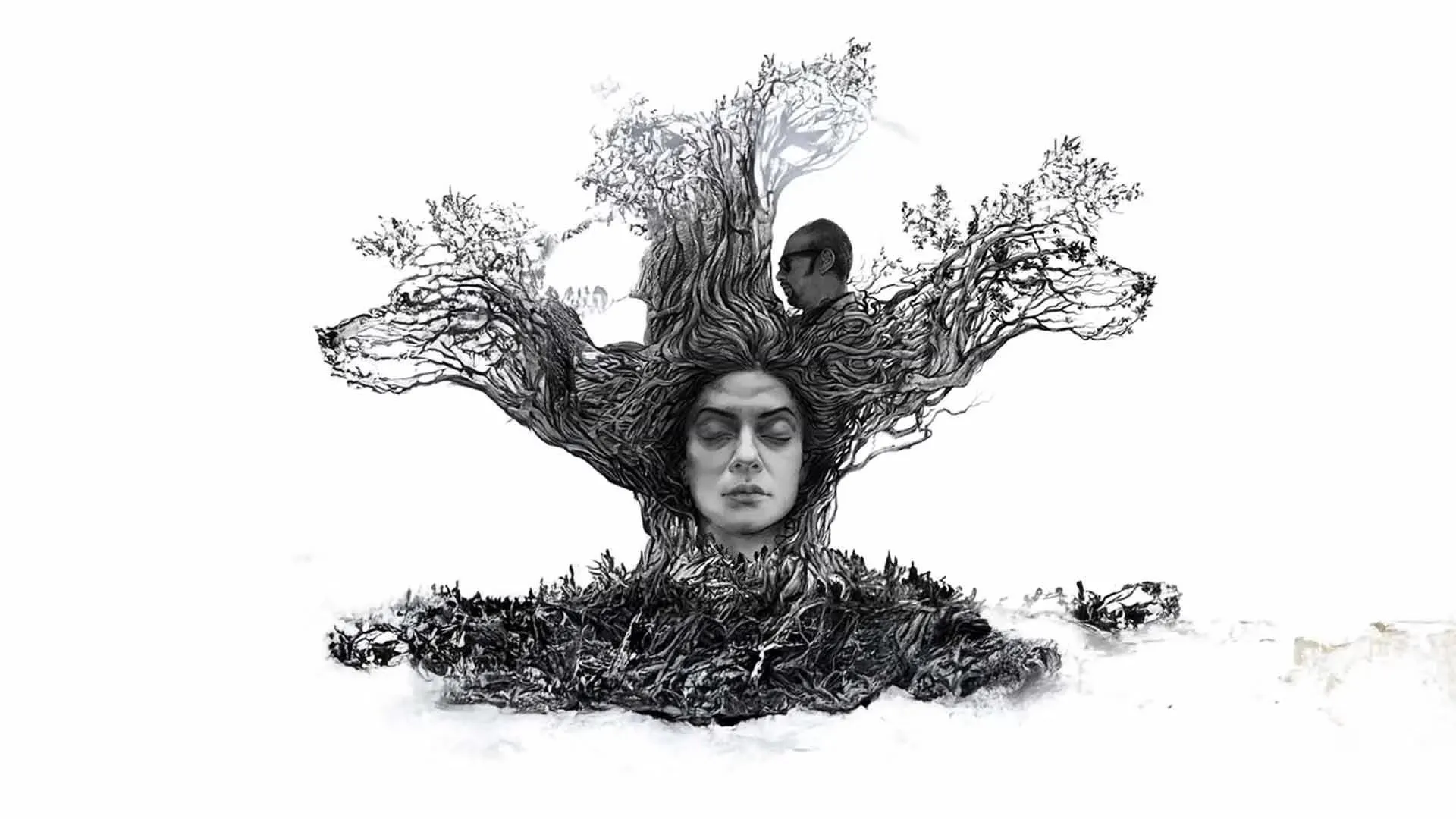 Nirbaak