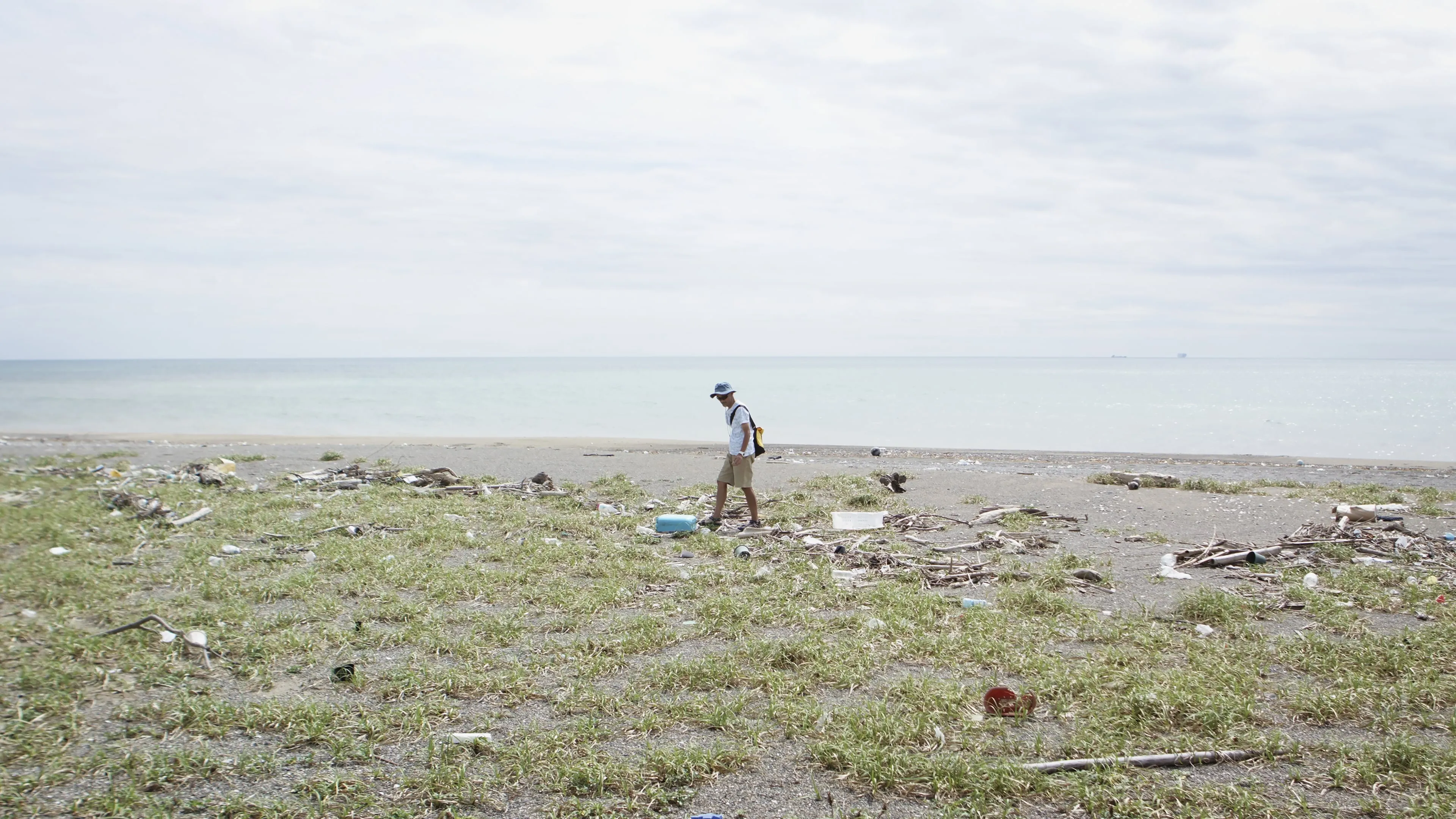 Walk the Tideline