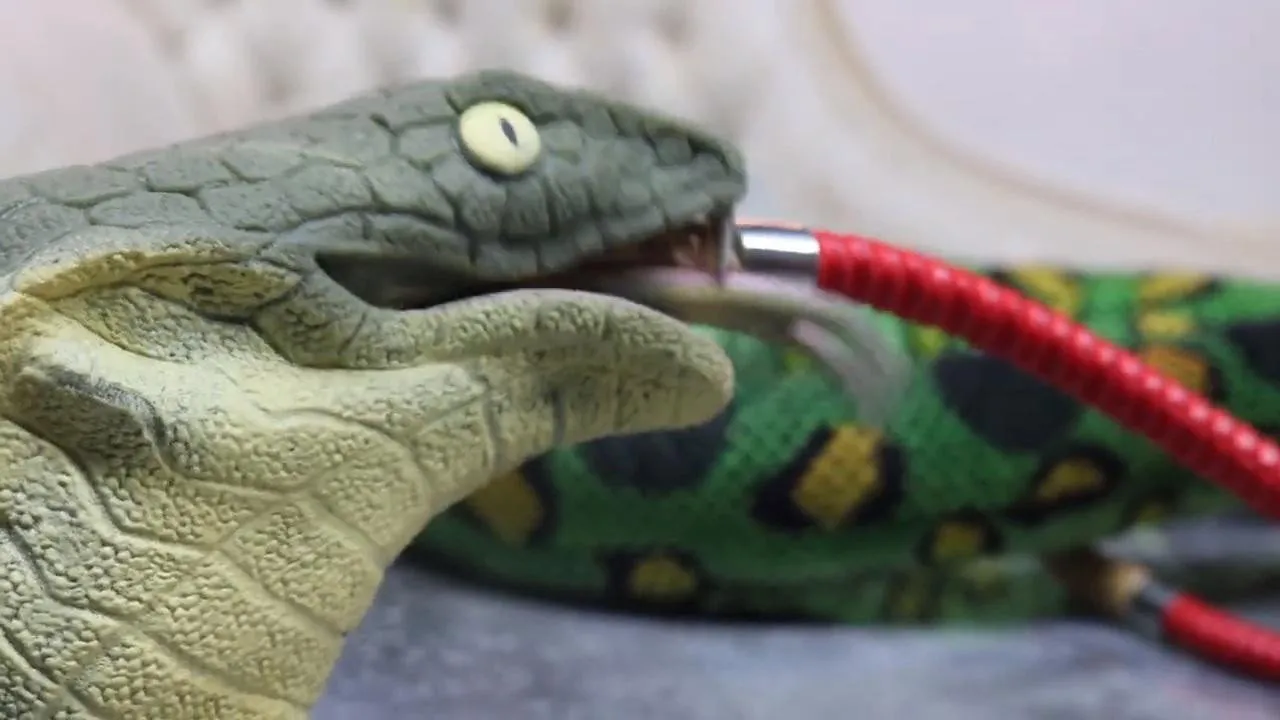Stoner Snakes