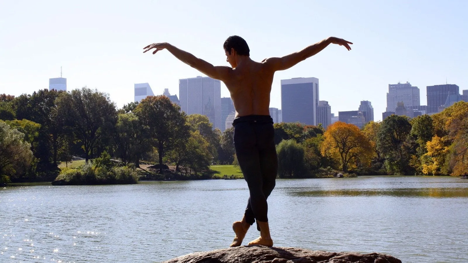 Anatomy of a Male Ballet Dancer