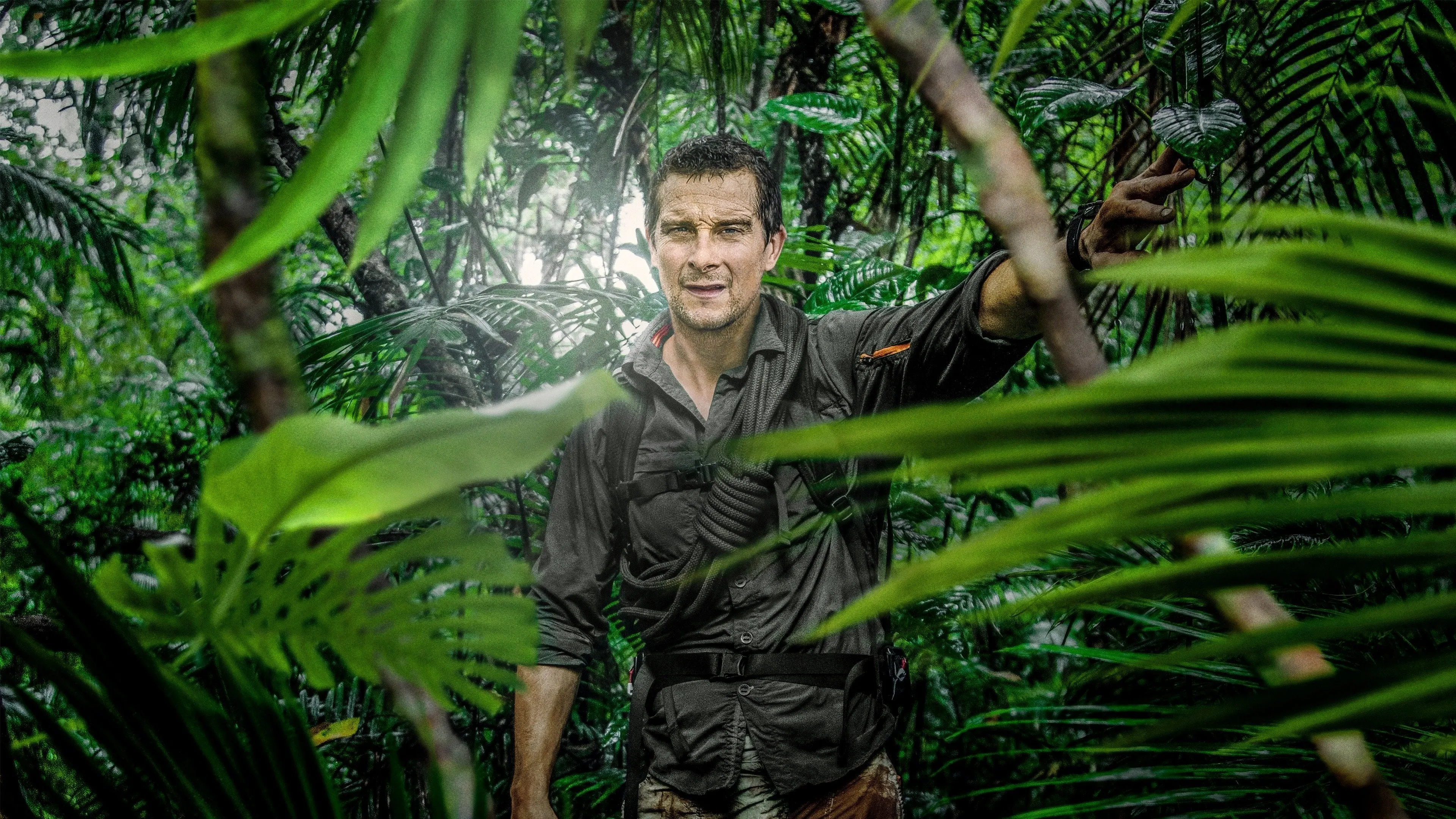 Running Wild with Bear Grylls