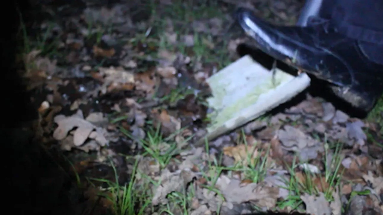 When Misfortune Strikes