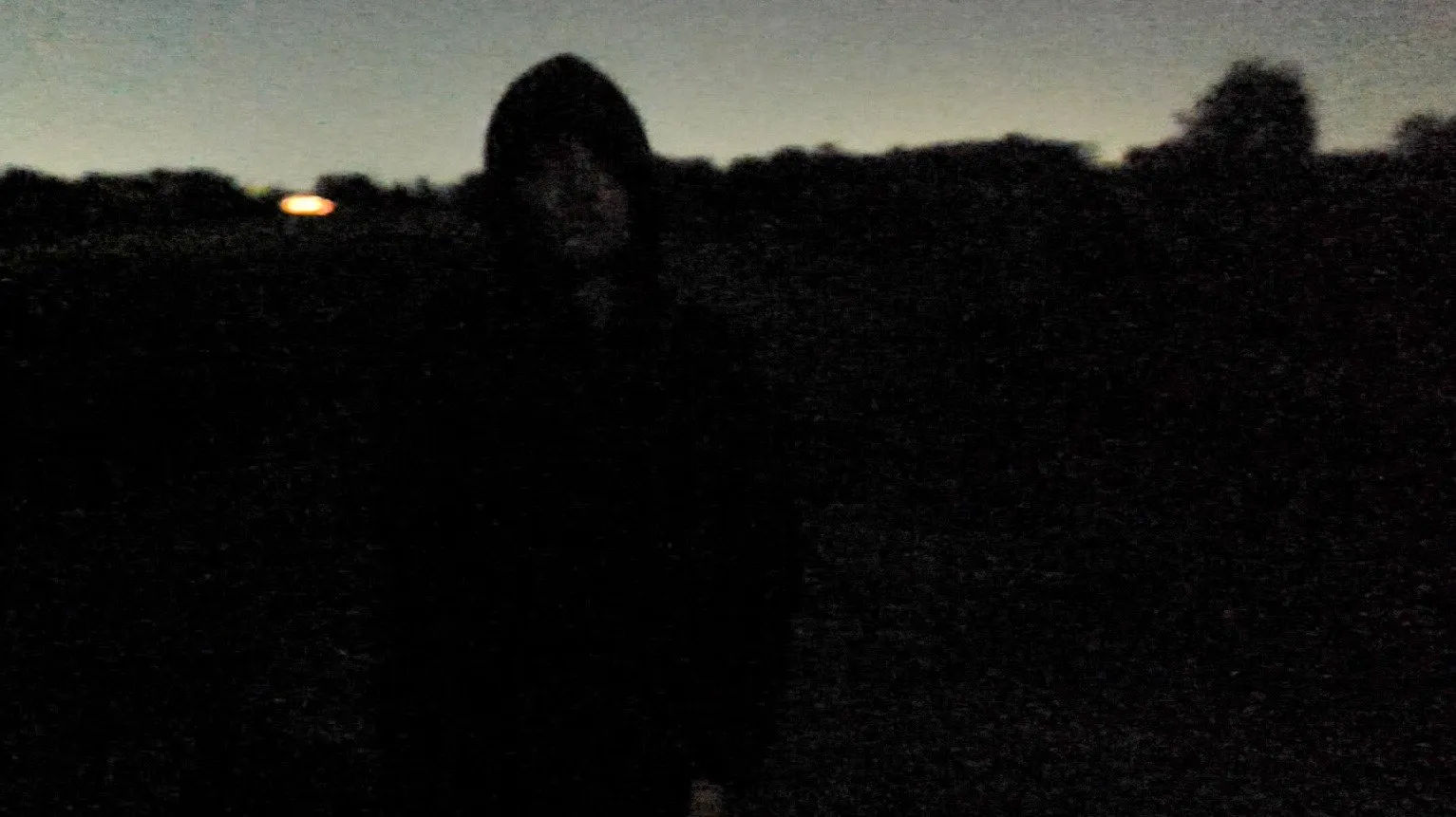 Phobophobia