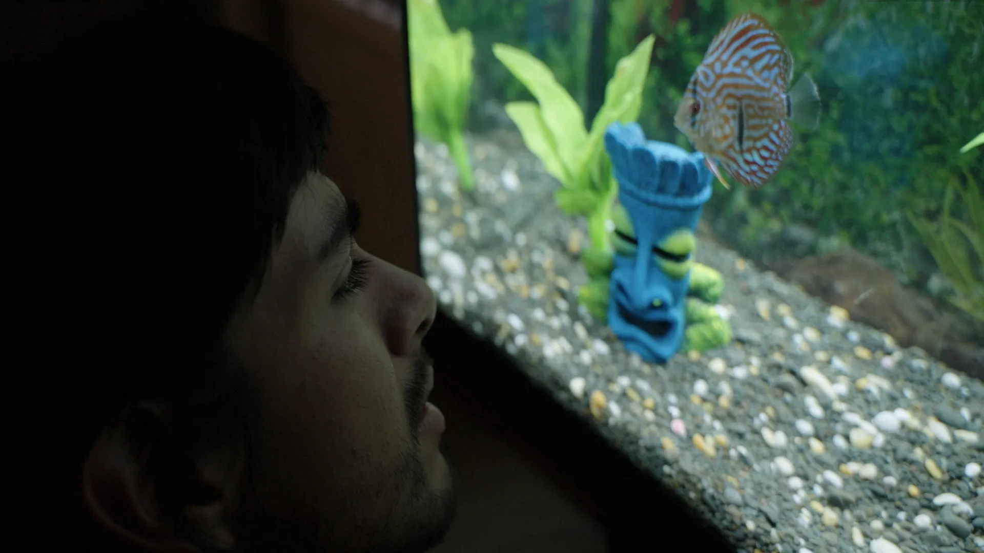 Notes from a Fish