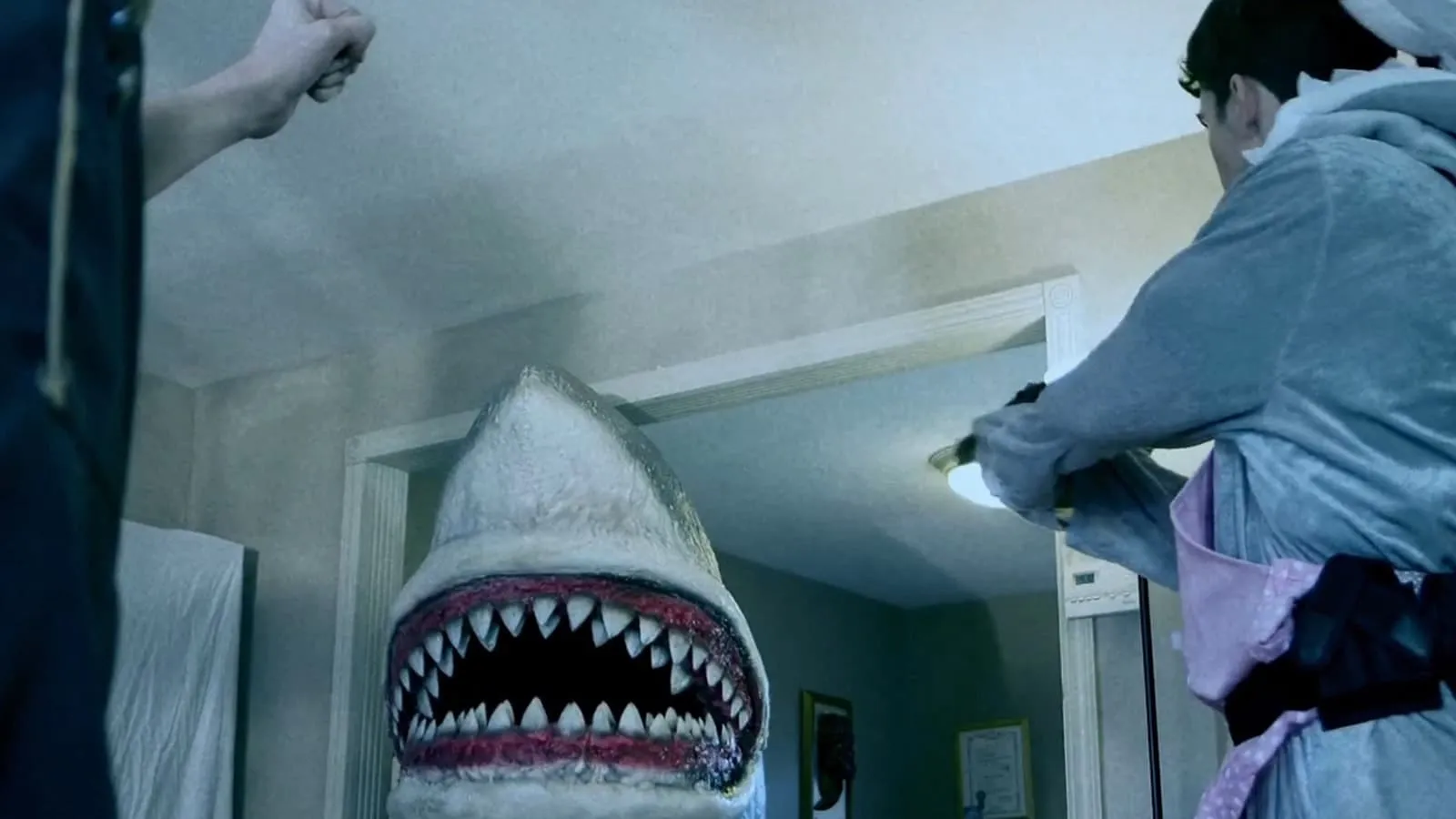 House Shark