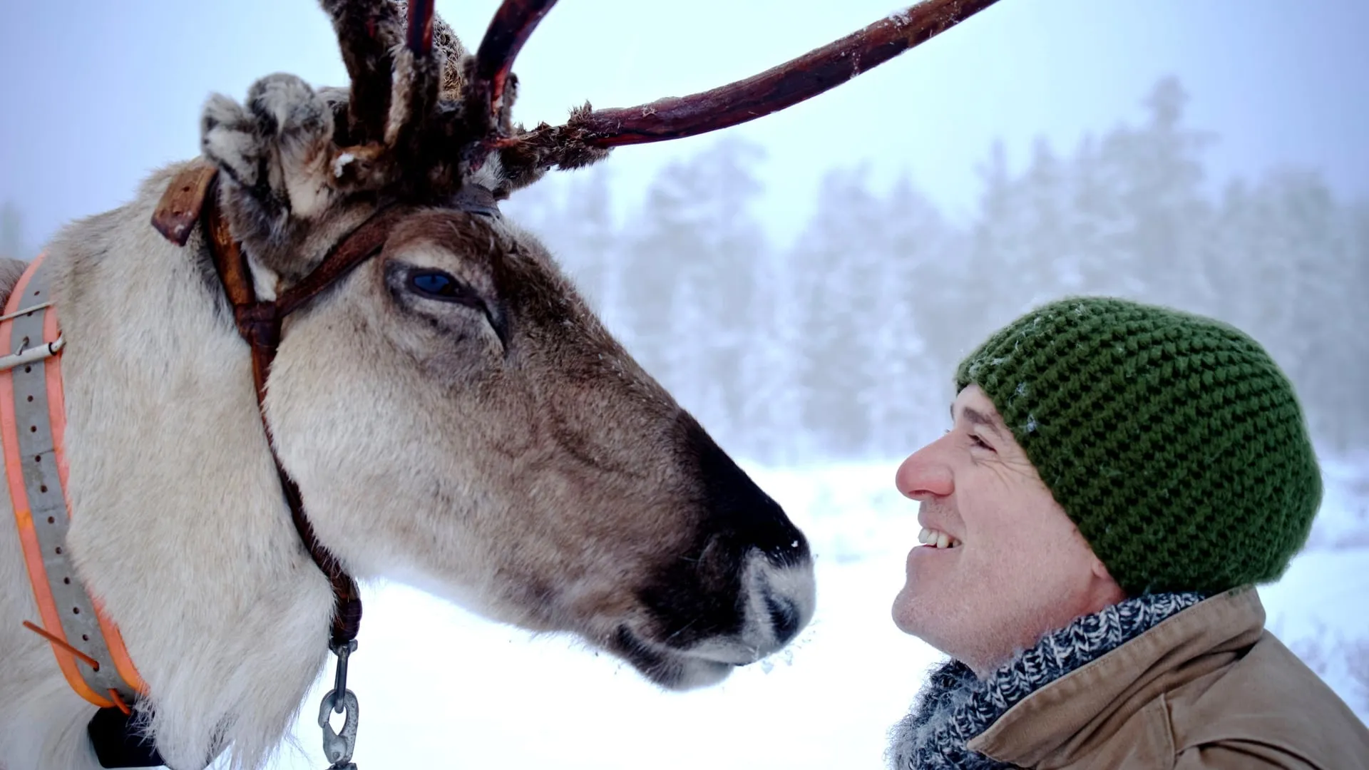 Reindeer Family & Me