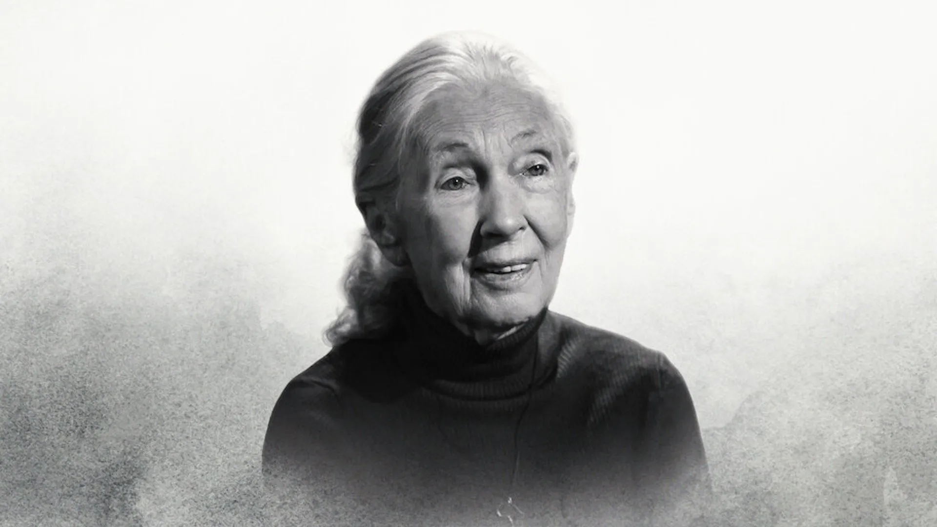 Famous Last Words: Dr. Jane Goodall