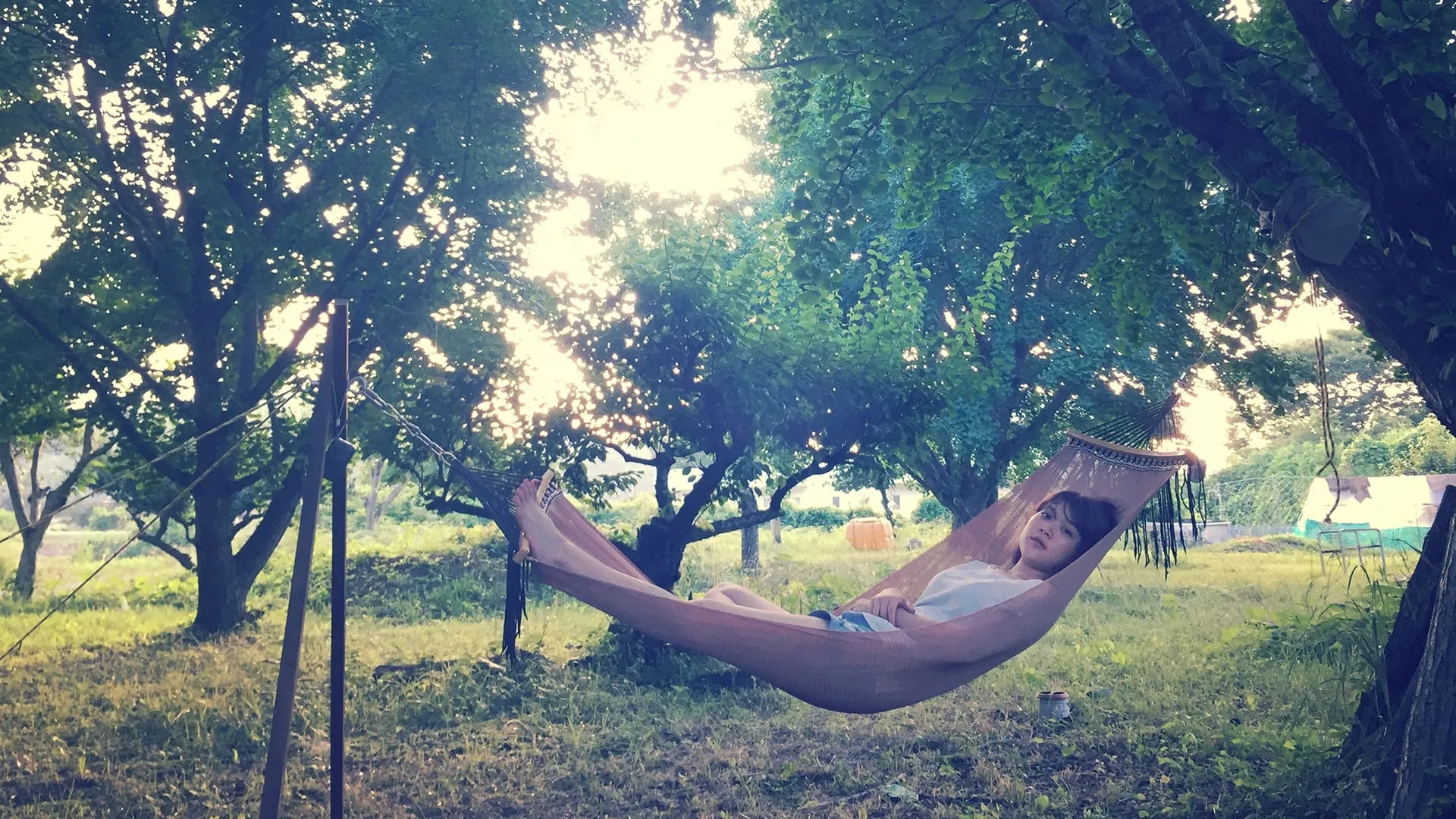 A Girl Under a Tree