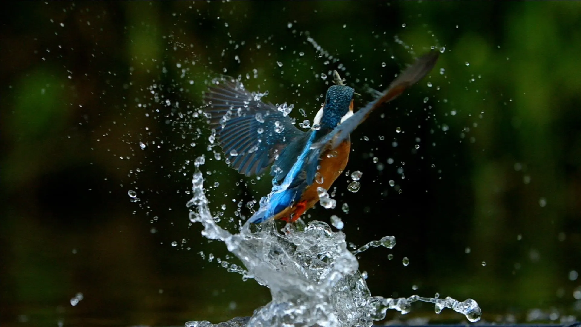 Ireland's Wild River