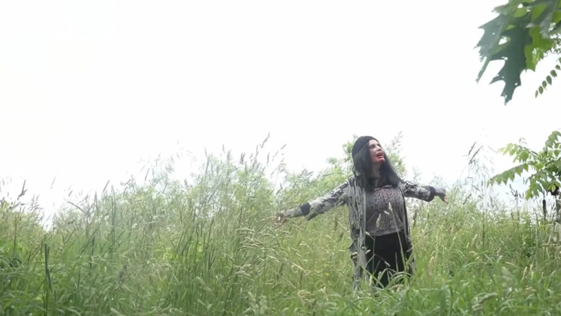 Reel 2