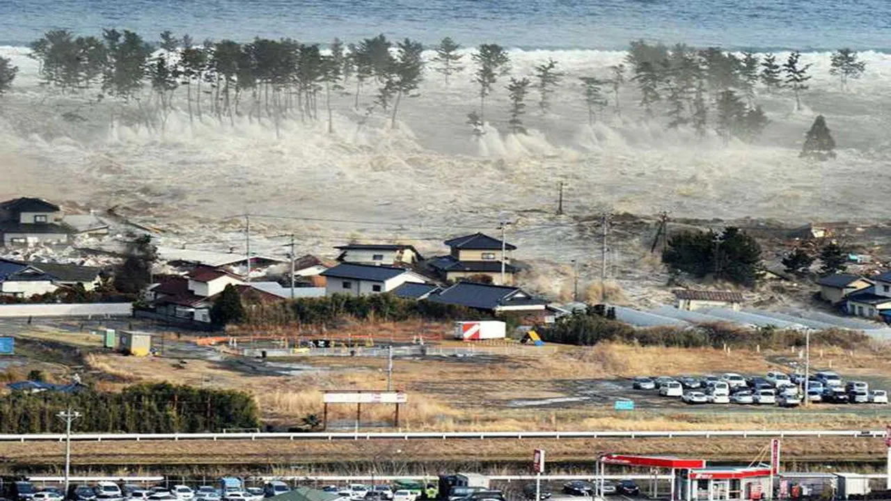 Witness: Disaster in Japan