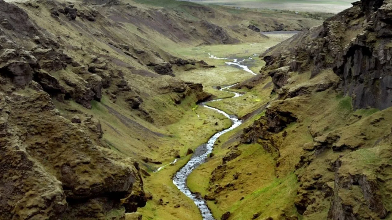 Terre, Les Forces du Vivant