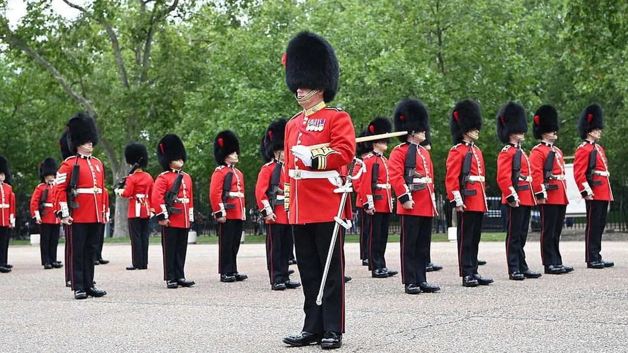 The Queen's Guards: A Year In Service