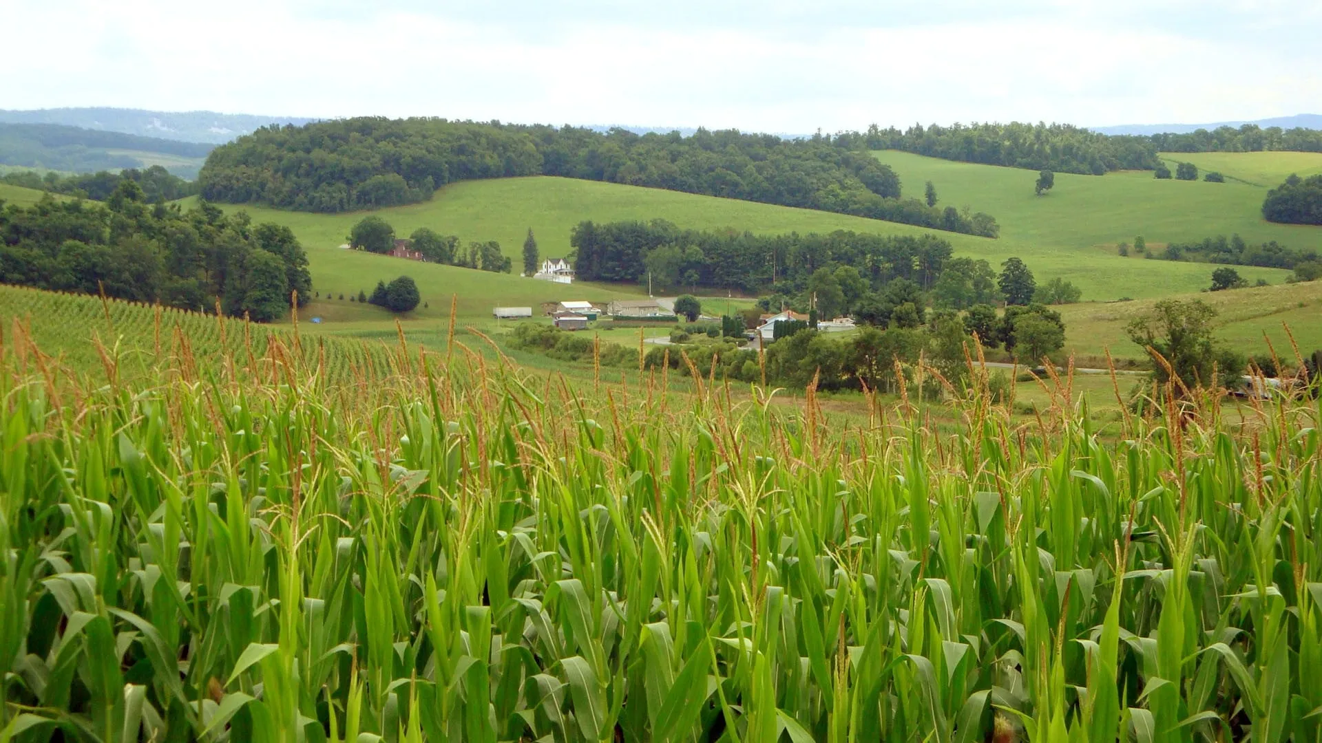 The World According to Monsanto