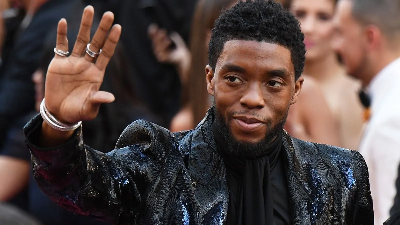 Chadwick Boseman: Portrait of an Artist