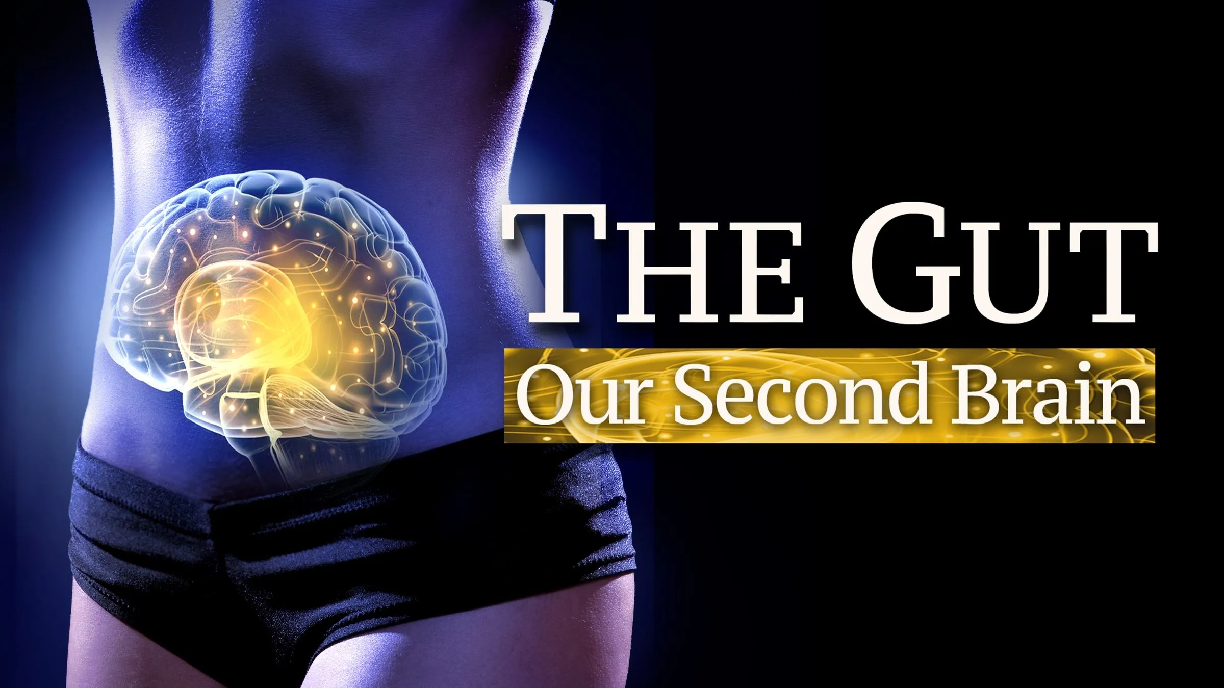 The Gut: Our Second Brain