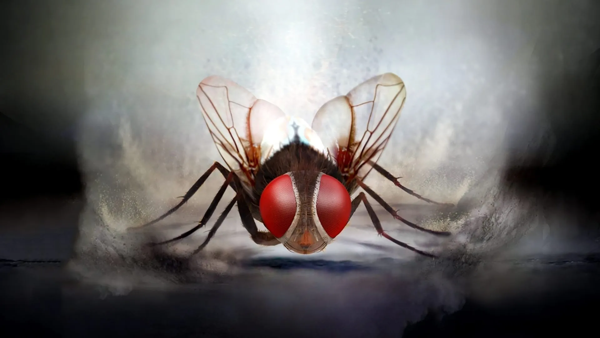 Eega