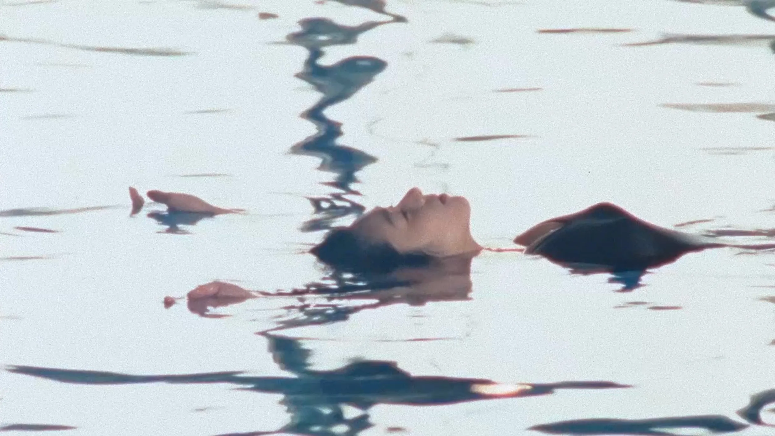 Door II: Tokyo Diary