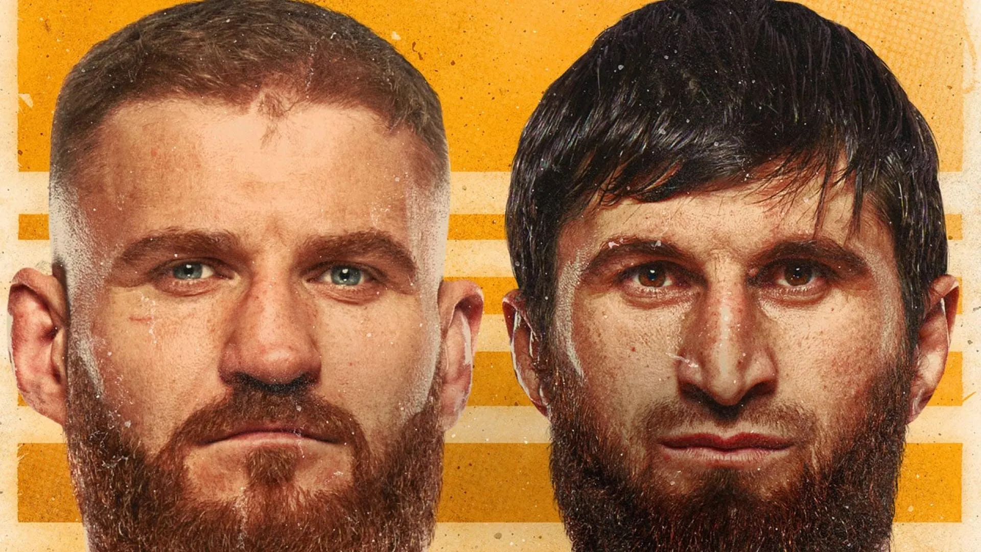 UFC 282: Blachowicz vs. Ankalaev