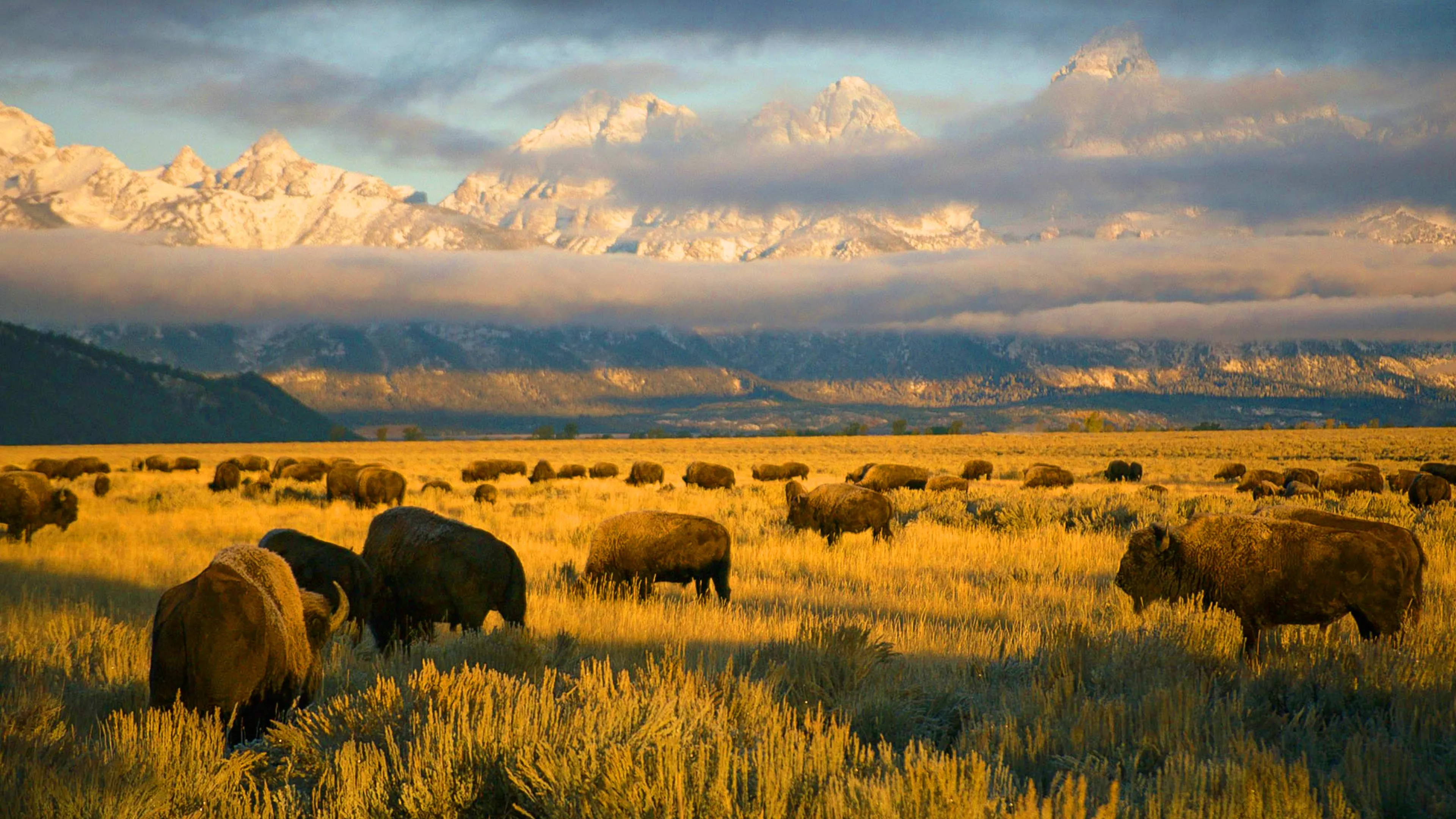 America's National Parks