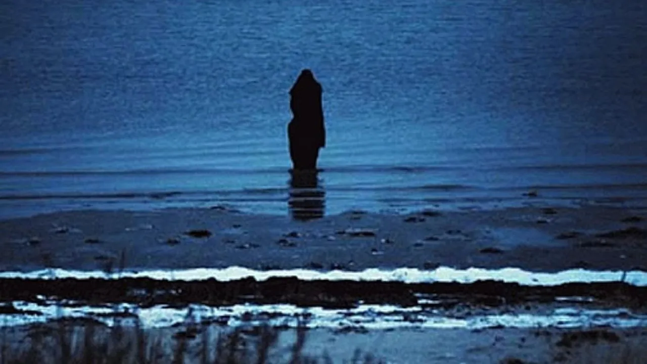 Steven Wilson: Catalogue / Preserve / Amass