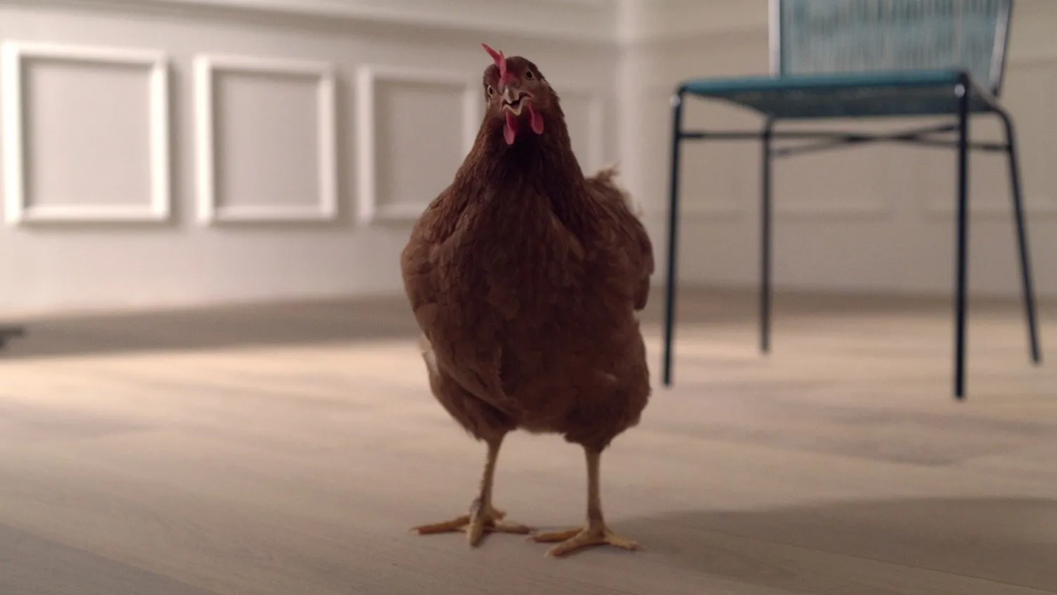 The Eye of the Hen
