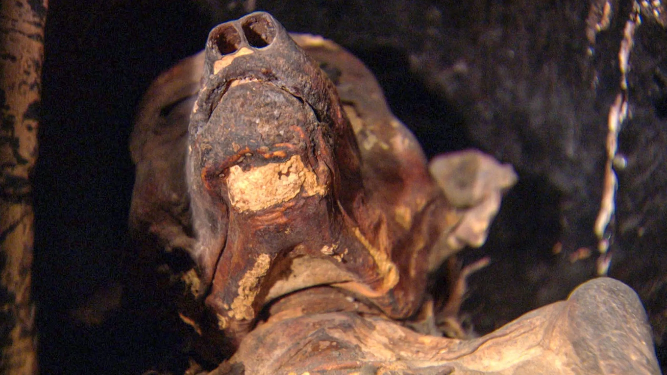 The Mysterious Mummified Dogs of Ancient Egypt