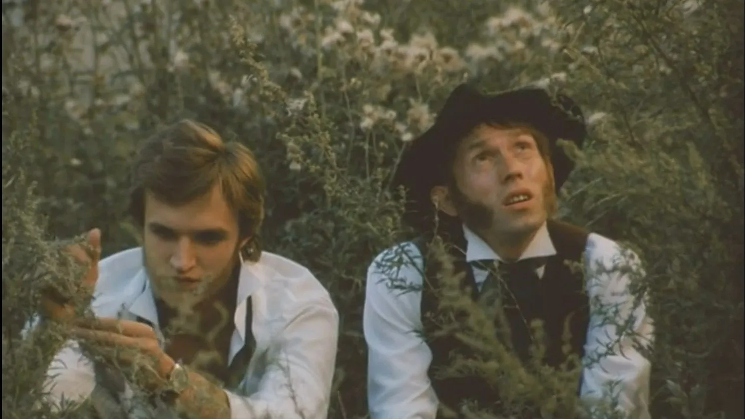 Sideburns