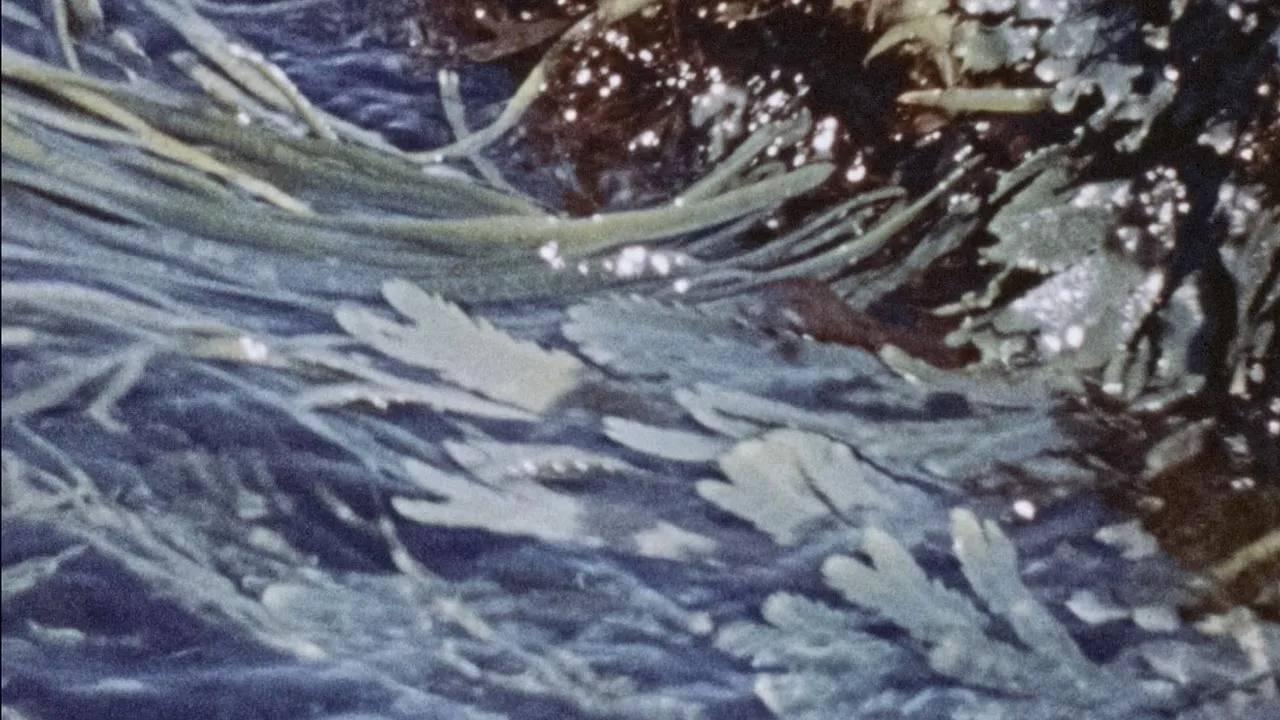Waves