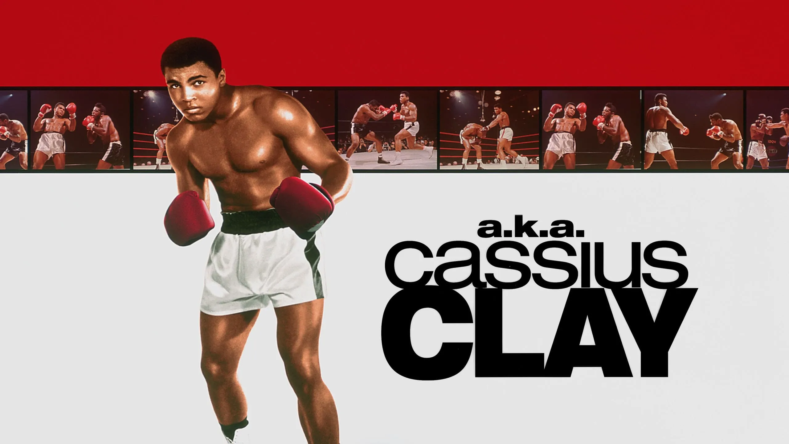 a.k.a. Cassius Clay