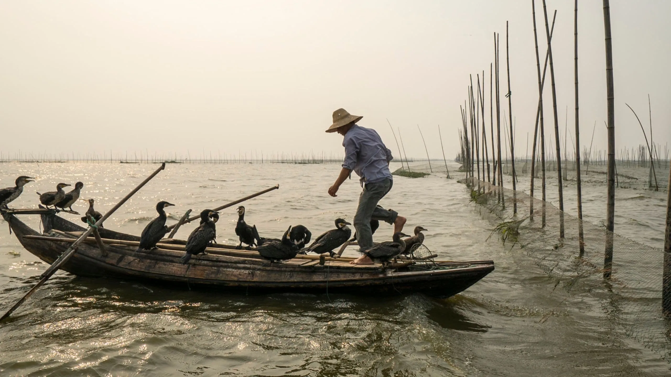 Along the Banks of the Yangtze