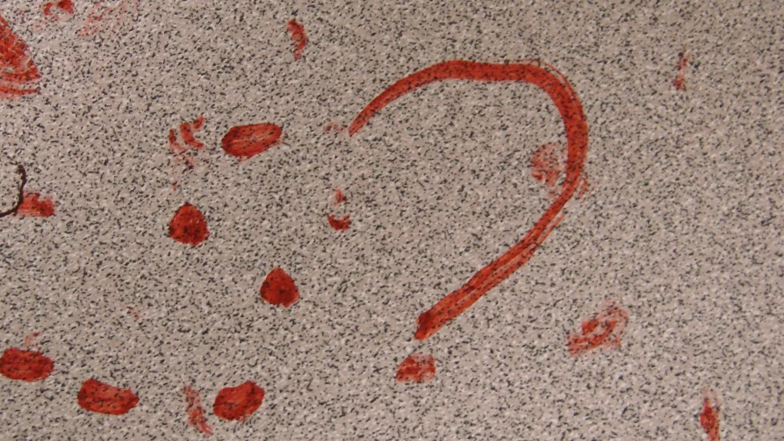 Glimpse of a Brain